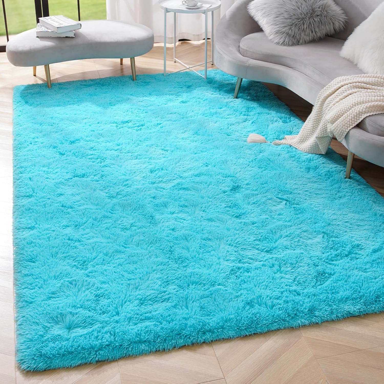 Amearea Premium Soft Area Rug 4x5.3 Feet, Blue Rugs for