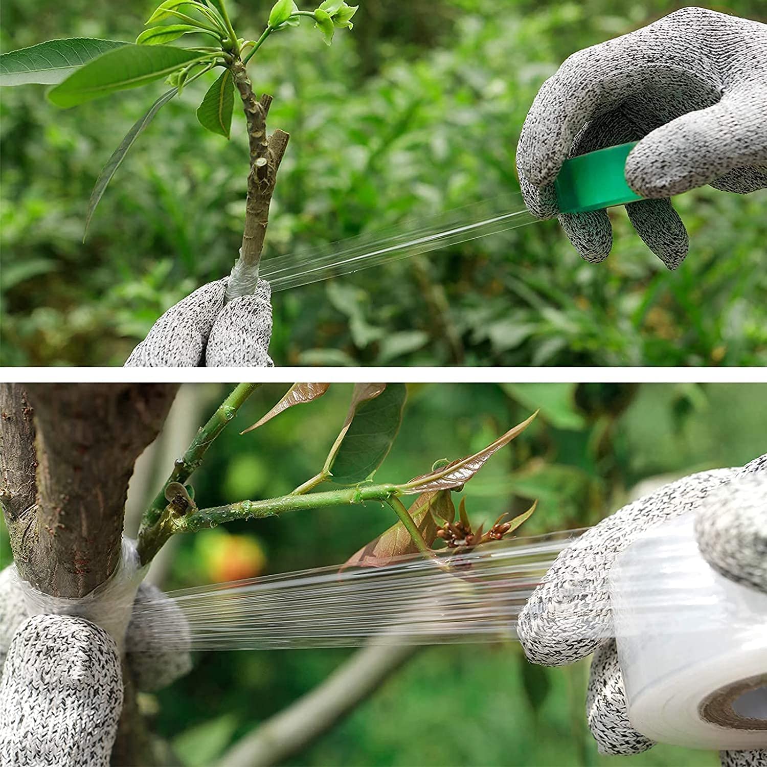Attrezzi per innesto per alberi da frutto, Attrezzi per potatore da giardino, 2 in 1 Kit di forbici per potatura per innesto da giardino, Forbice per innesto professionale con nastri per innesto