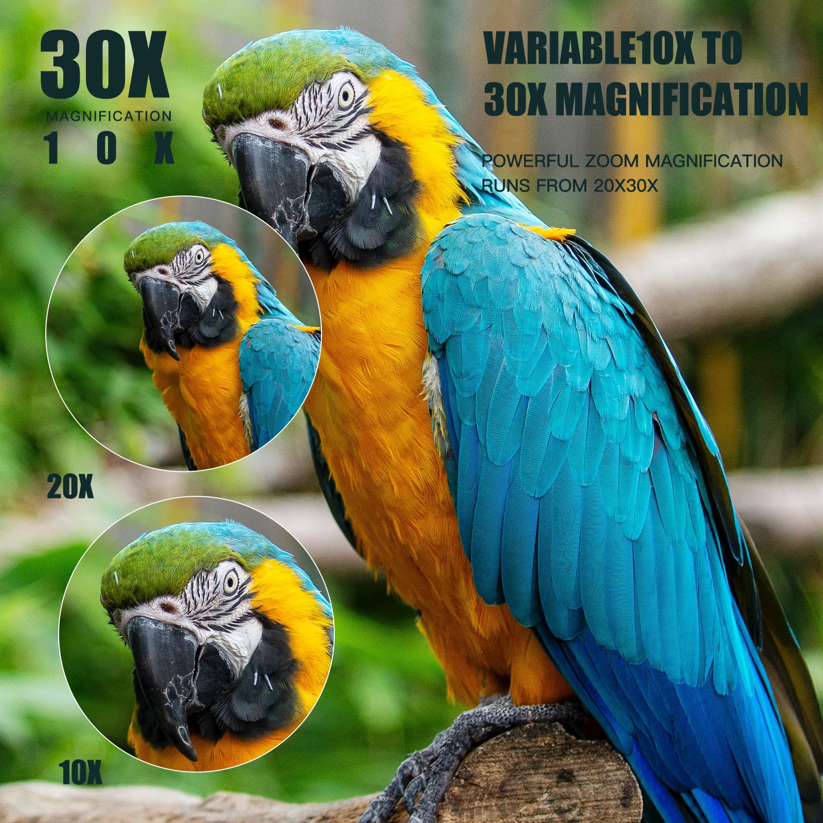 10-30x50 Monokular Teleskop für Erwachsene, Wasserdichtes HD Monokular Zielfernrohr mit Smartphone zur Vogelbeobachtung Sightseeing Wandern Jagd Camping (Green)