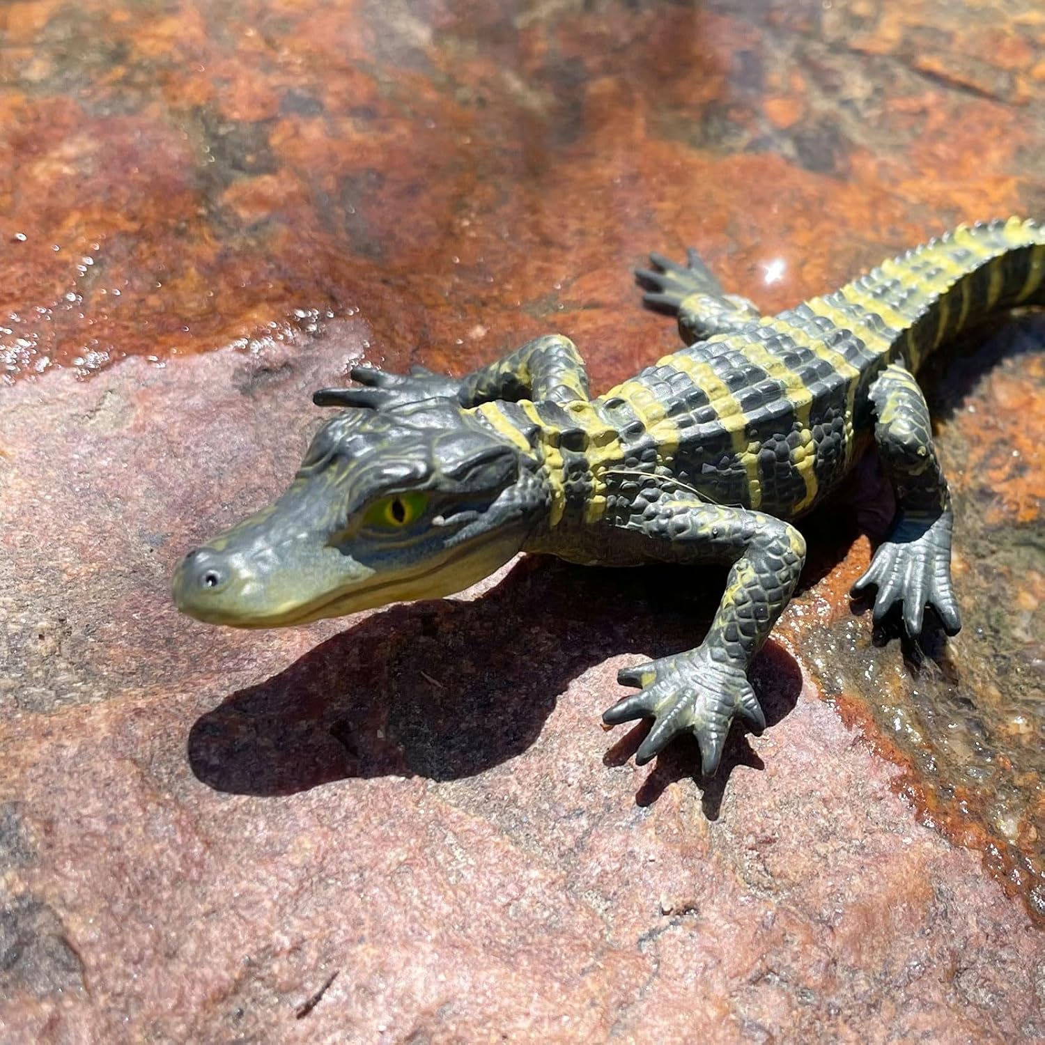 Safari Ltd. Alligator Baby Figurine - Detailed and Lifelike 4.5" Toy Figure - Fun and Educational for Boys, Girls & Kids Ages 3+