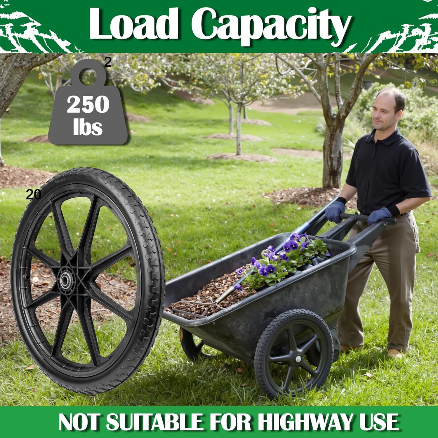 https://m.media-amazon.com/images/I/812wvTpinsL._AC_SL1500_.jpg