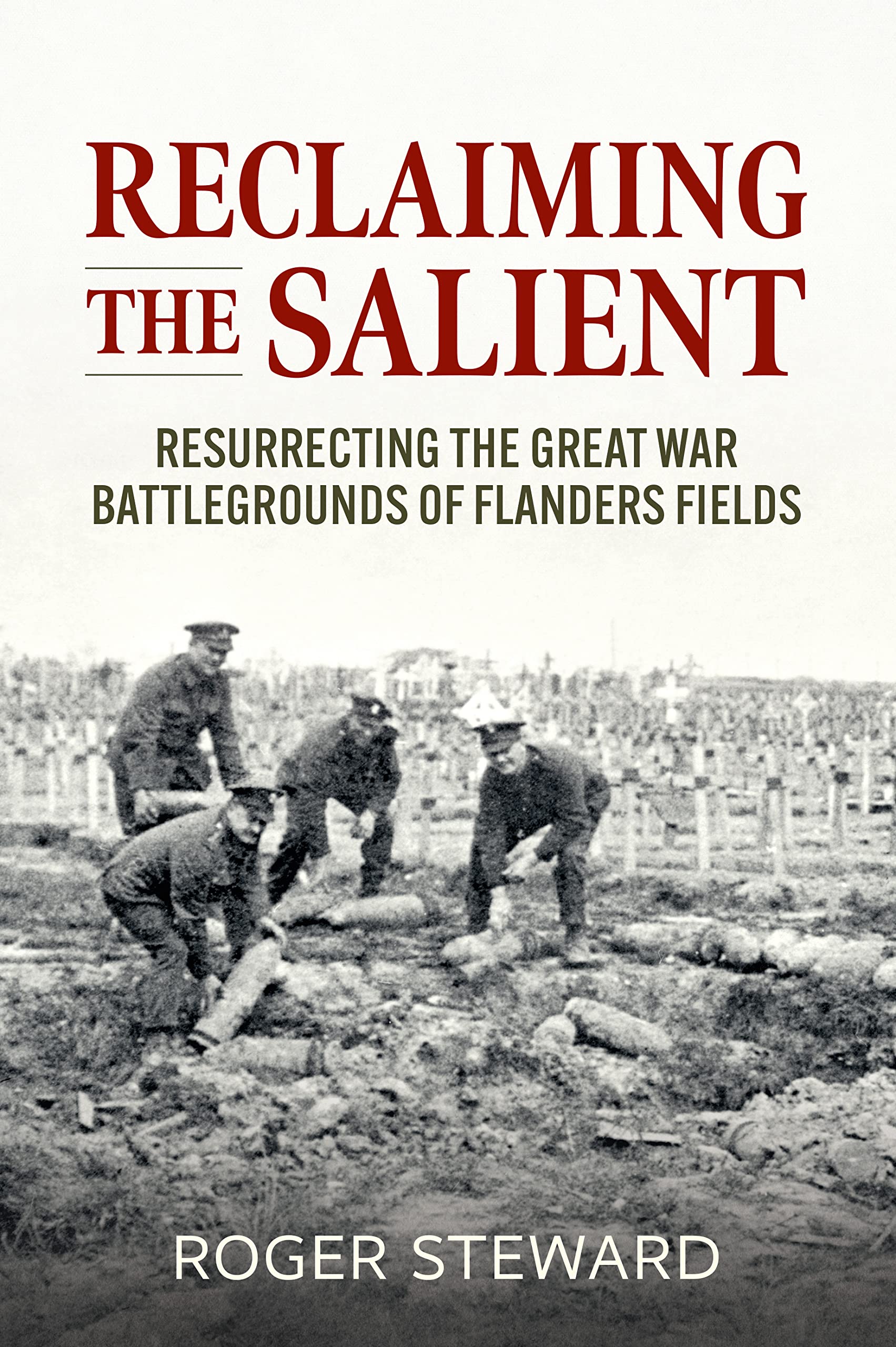 Reclaiming the Salient by Roger Steward (Paperback Book)