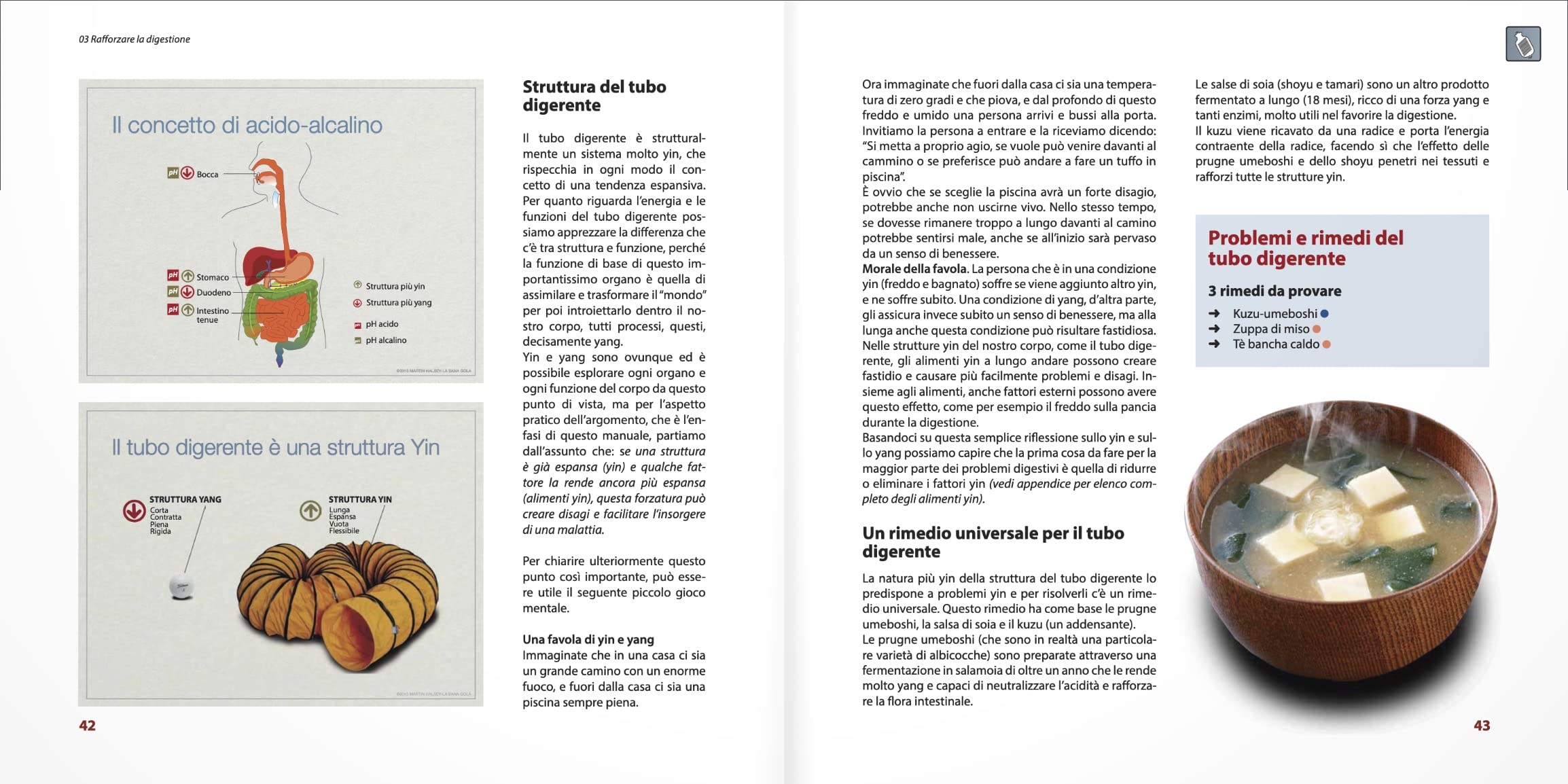 Cucina che cura. Consigli e ricette per rafforzare il sistema immunitario e contrastare i disturbi più comuni
