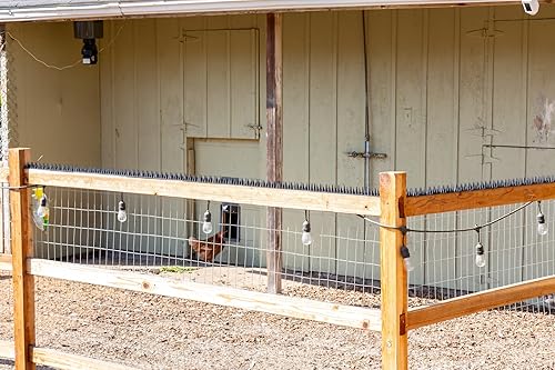Miniatura 2 de BUGG OFF - Púas de pájaros y roedores, patrón único de espigas que disuade eficazmente a las molestas palomas, ardillas, mapaches. Se instala en