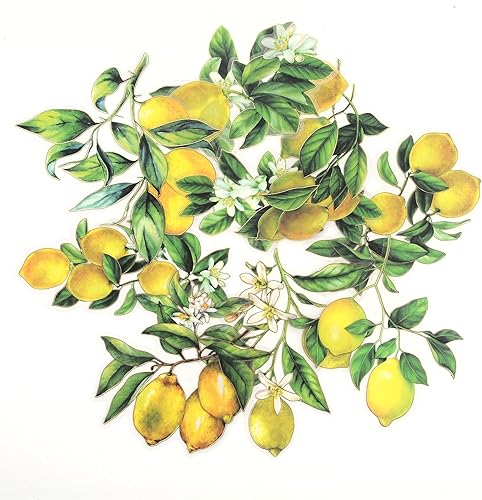 Calcomanías de limón 10 unidades bonitas calcomanías de PET bronceadoras de frutas paquete de calcomanías de regalo impermeables perfectas para