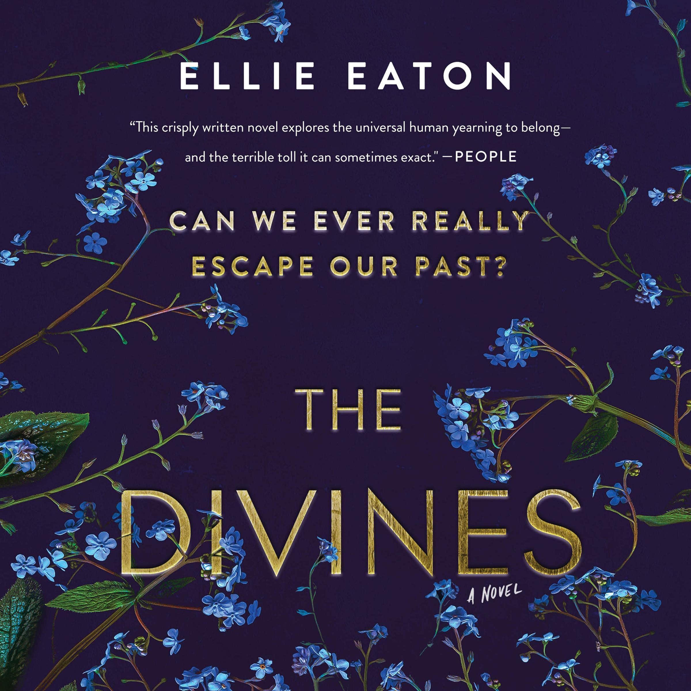 Cover art for The Divines
