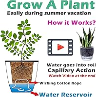 Vista 4 de Paquete de 6 macetas de riego automático de 6.7 pulgadas para jardín interior, hiedra del diablo, violeta africana, planta de araña oceánica