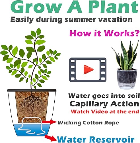 Miniatura 4 de DELF - Paquete de 6 macetas de riego automático de 6.7 pulgadas para jardín interior, hiedra del diablo, violeta africana, planta de araña del