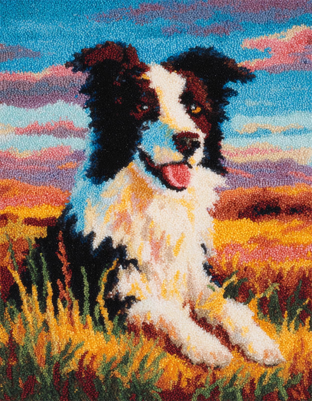 Wallphantom Graslandlandschaft Knüpfteppich Zum Selber knüpfen,Tierischer Border Collie,Knüpfsets Latch Hook Kit Selbst Knüpfen Set für Kinder und Erwachsene,Farbmuster vorbedruckt,80x160cm