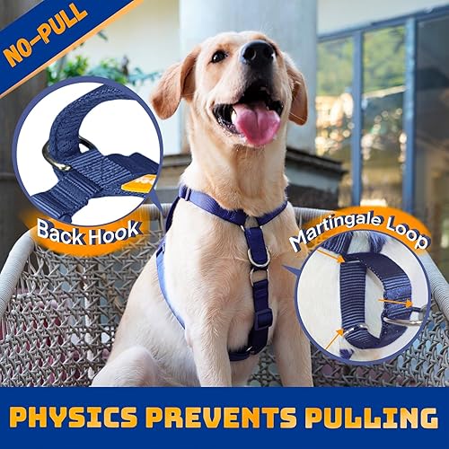 Miniatura 2 de DF Arnés para perro Martingala sin tirones, a prueba de escapes, totalmente personalizable con clip frontal y mango acolchado suave, correas de
