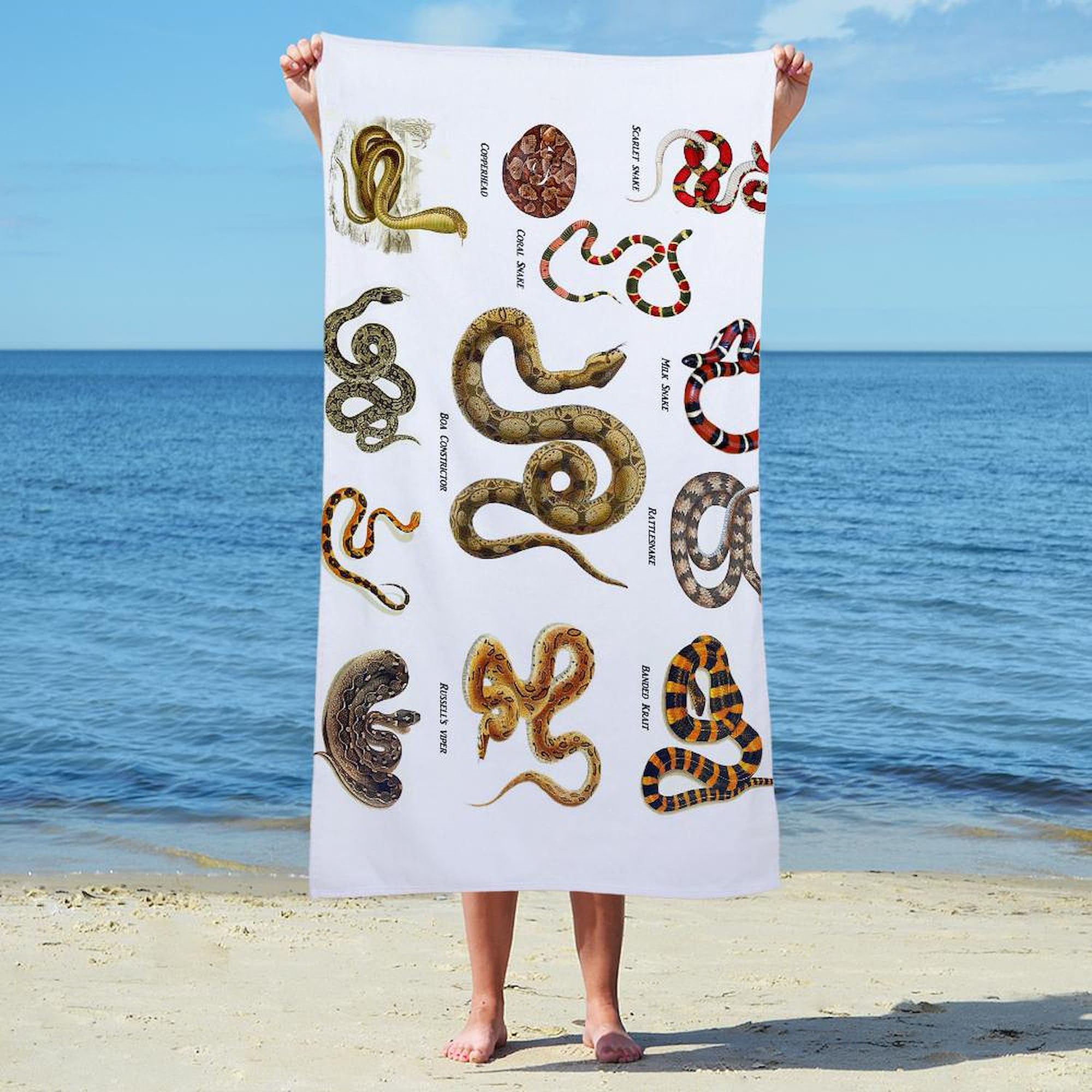 Amazon.com: CafePress Snakes 30