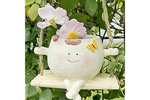 Charming Mariposa Giratoria: A Symphony of Nature's Grace and Artistic Flair