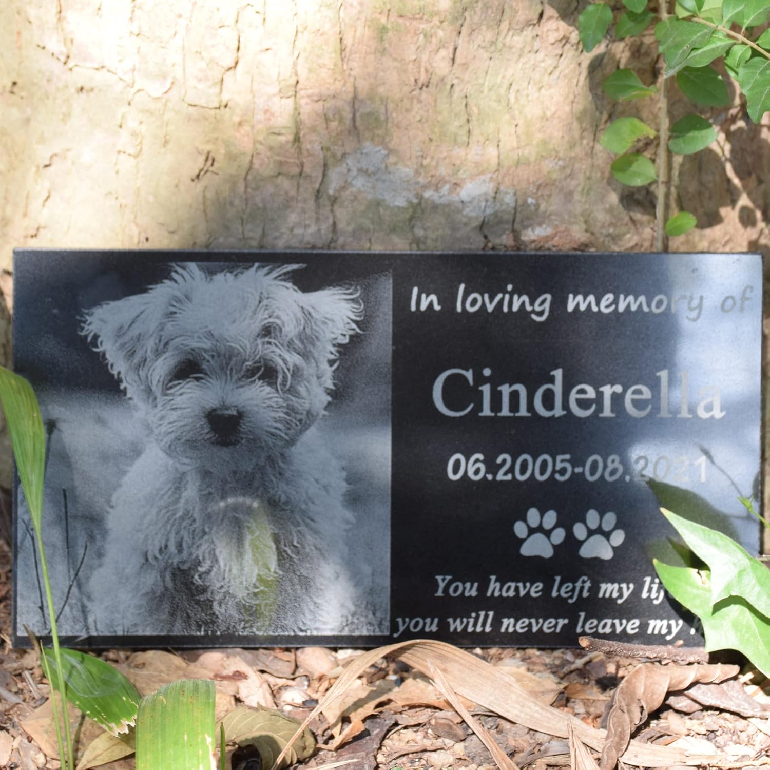 AXEN Pet Memorial Stone, Black Granite Stone Dog Headstone Pet Memorial Grave Marker Customized with Picture, Size 11 × 6 in