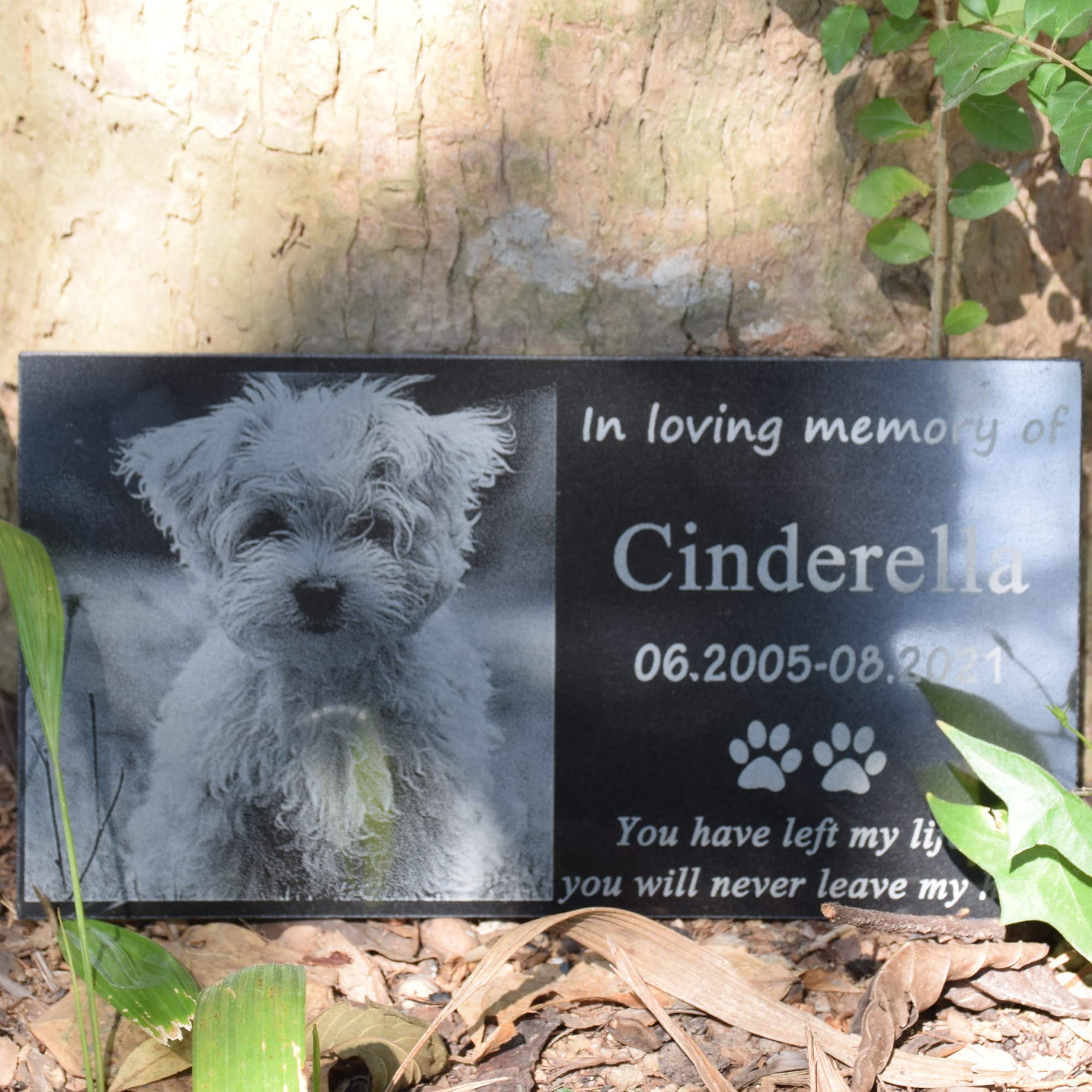 AXEN Pet Memorial Stone, Black Granite Stone Dog Headstone Pet Memorial Grave Marker Customized with Picture, Size 12 × 6 in