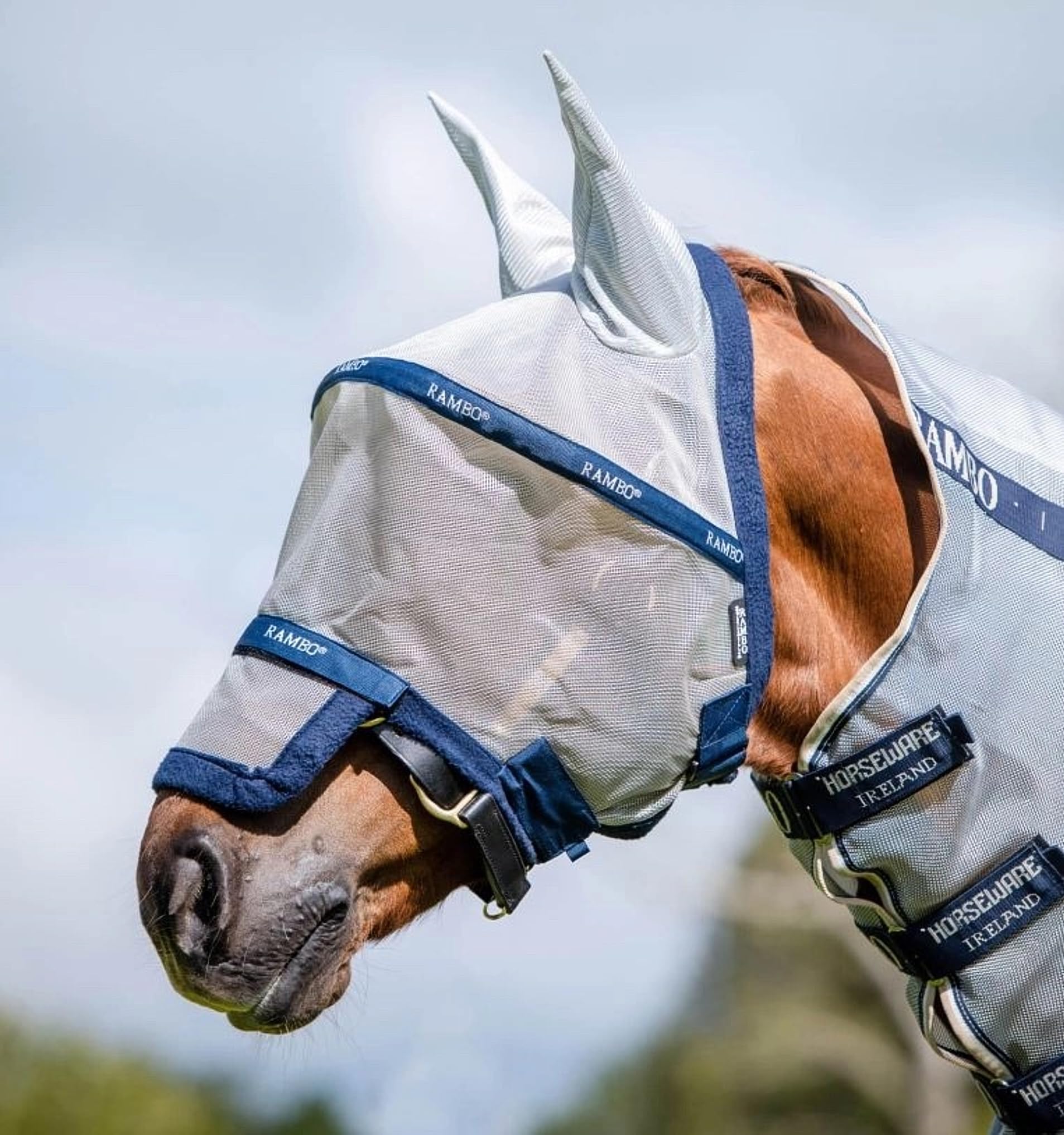 AMIGO Fine Mesh with Ears Fly Mask