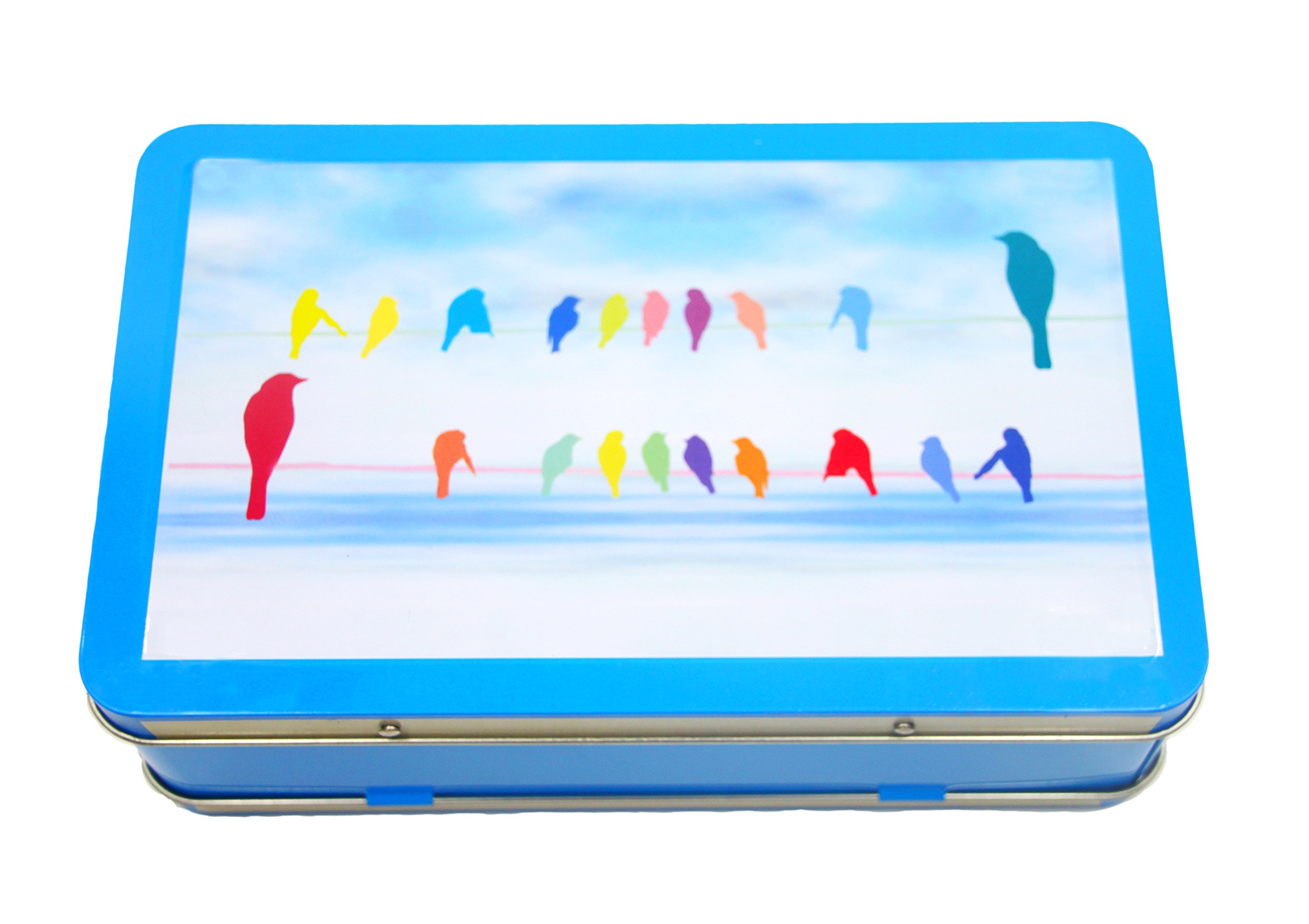 DAHO Metal Storage Box with Hinge for Office, School, Home, Makeup, Arts &amp; Crafts and Accessories (Bird)