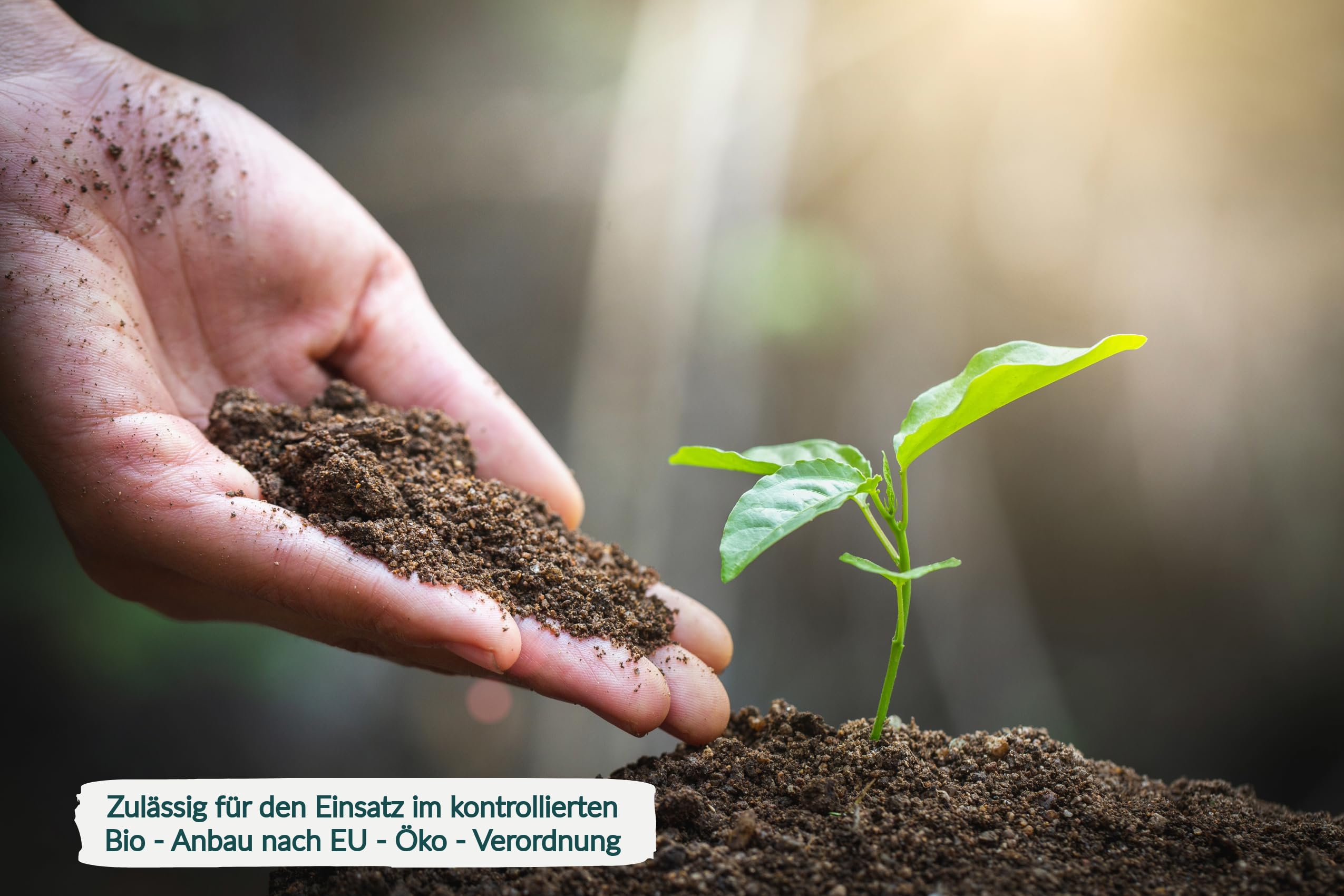 Bio Schafwoll Pellets, Schafwollpellets, organischer Naturdünger aus der Wolle lebender Schafe (20 kg (2 x 10 kg))