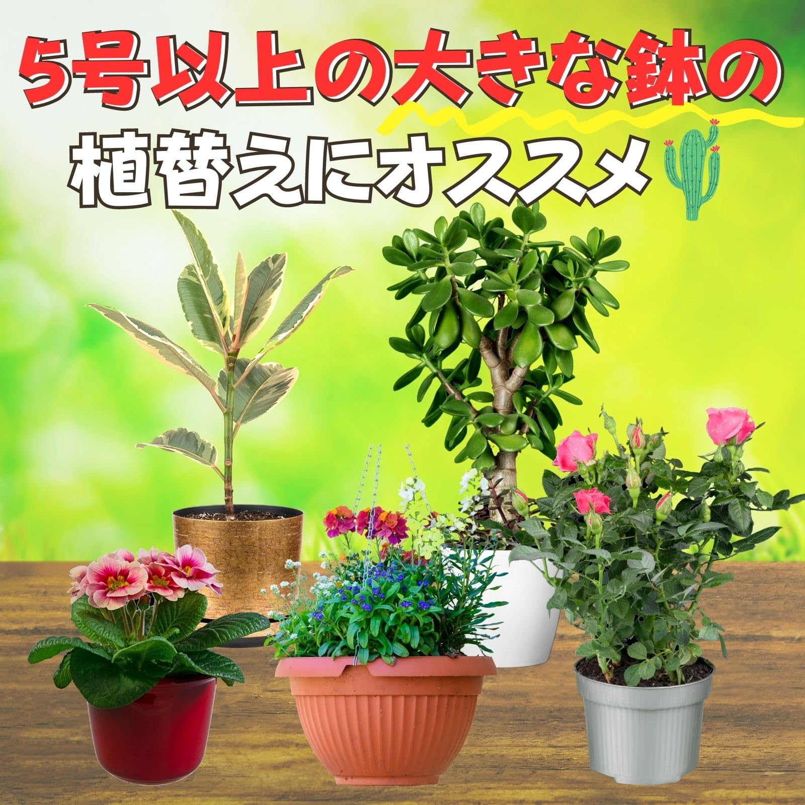Amazon.co.jp: Leap Raupe 鉢底石 軽石 園芸 大粒 2L 【10年使える鉢底