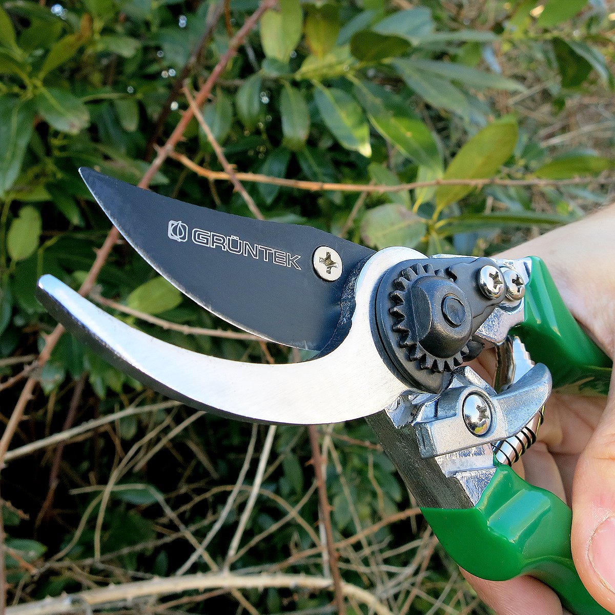 GRÜNTEK Secateurs, Professional Garden Pruning Shears Falke, Bypass