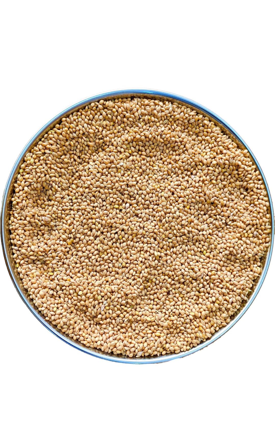Pet & Vet Store Premium Foxtail Millet Kangni Seeds for Birds Food, 450gm, Nutrient-Rich, All Life Stages, Canaries, Finches, Waxbills, Budgies, Lovebirds, Cockatiels, Parrots, Parakeets. (450G).-image-2