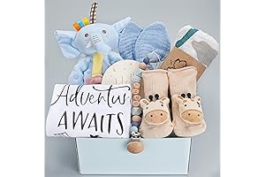 Premium Newborn Baby Boy Gift Basket - Essential Care Items and Cozy Comfort