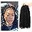 Dansama Passion Twist Hair Water Wave Braiding Hair for Butterfly Style Crochet Braids Bohemian Hair Extensions (12inch (Pack of 7), 1B)