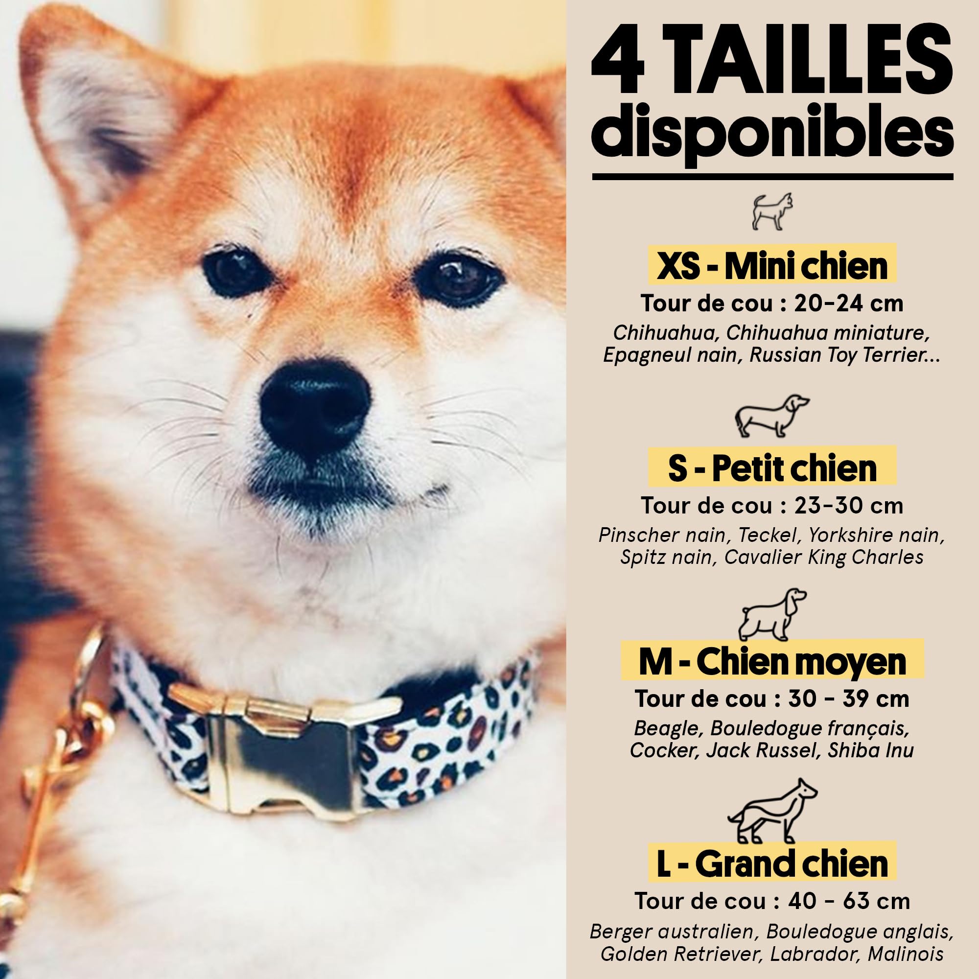 Bandit - Collier pour Chien - Taille L - Tour de Cou 40-63cm - Bouclerie en Laiton Haute Qualité - Résistance à la Rupture de 300kg - Lavable en Machine - Made in France - Wild Wild Wouf