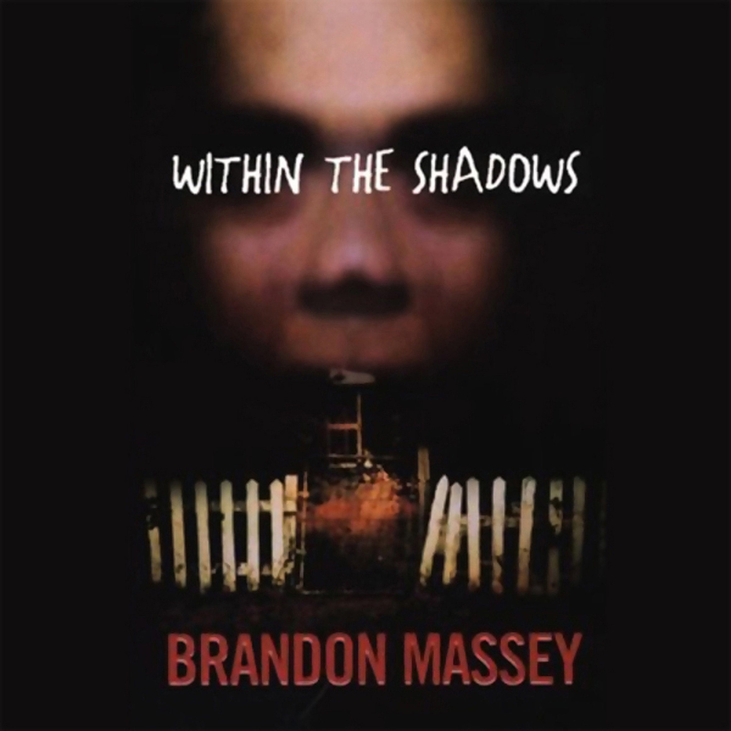 Cover art for Within the Shadows