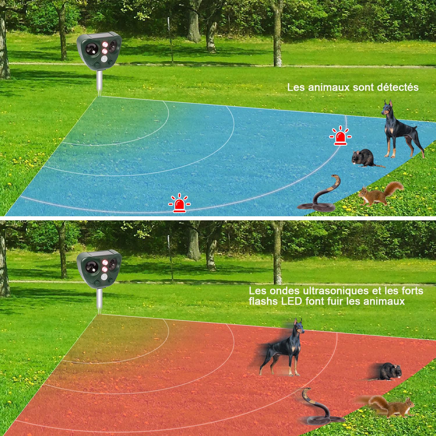 Repulsif Ultrason Chat, Repulsif Chat Exterieur Ultrason Etanche IP66, Rechargeable par énergie Solaire/USB, Empêche Les Chats, Les Chiens, Les Oiseaux, pour Le Jardin, Le Terrain...