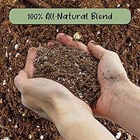 Vista 3 de Soil Sunrise Mezcla de tierra para macetas de olivo (8 cuartos de galón) para plantar, trasplantar y cultivar arbustos/plantas de olivo