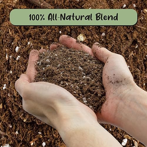 Miniatura 3 de Mezcla de tierra para macetas de olivo (12 cuartos de galón), para plantar, trasplantar y cultivar arbustosplantas de olivo