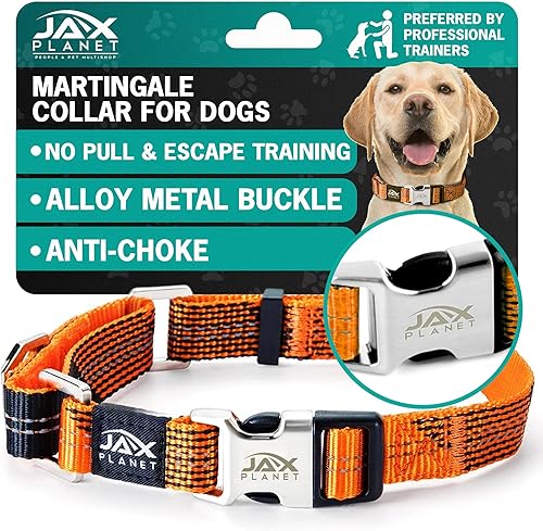 Collar de Martingala colorido para entrenamiento de perros, collar reflectante seguro y humano para entrenamiento sin tirones, caminar, anillo en D
