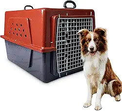 Caixa de Transporte para Cães e Gatos Nº05 Rafapet – Grande Porte, Resistente, com Trava de Segurança e Ventilação – Ideal para Viagens, Carros e Clínicas Veterinárias (Vermelho)