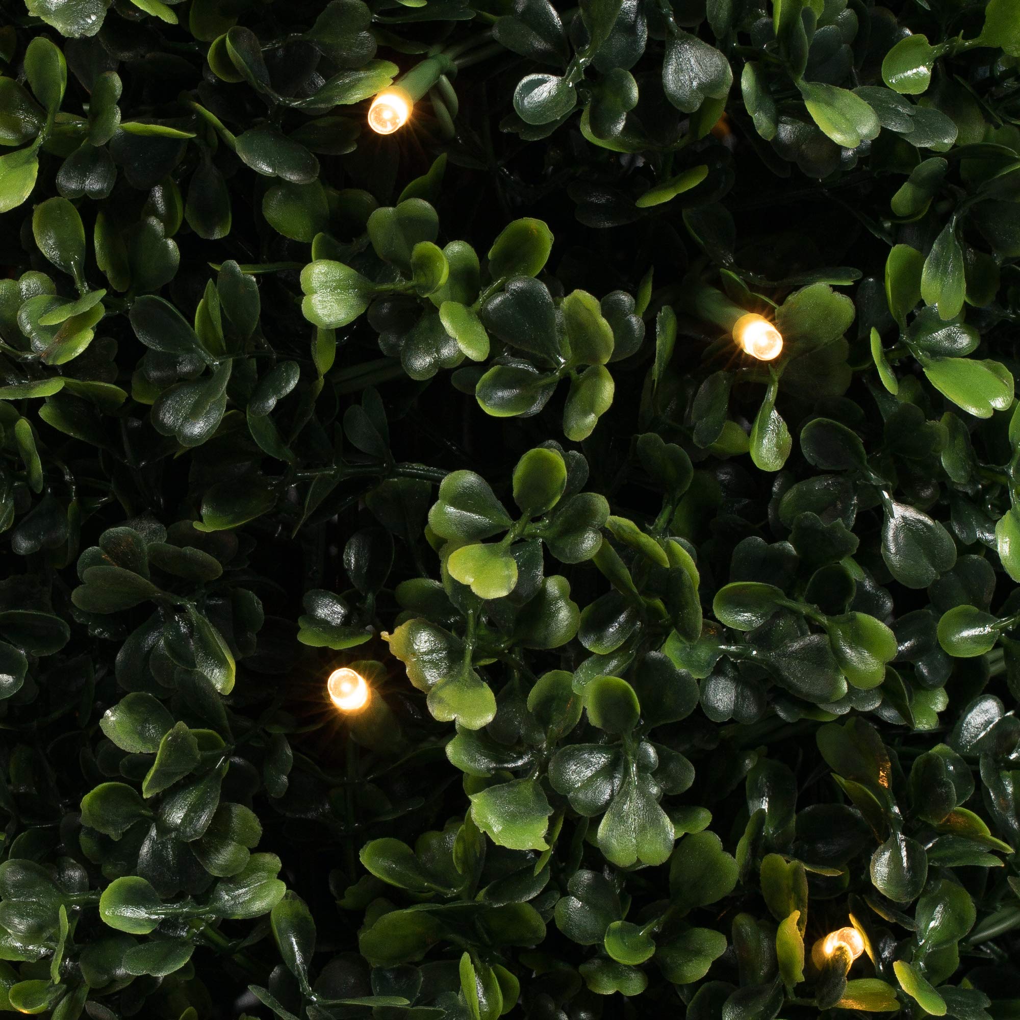 Vickerman Everyday Artificial Pre-Lit Boxwood Topiary Cone 5' Tall - UV Resistant Indoor Outdoor - Potted Natural Green - Faux Tree Decoration Home Patio Entryway