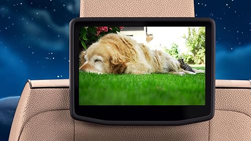 Música calmante para gatos-relaxamento, sono profundo, alívio do estresse para Tv e Tablets