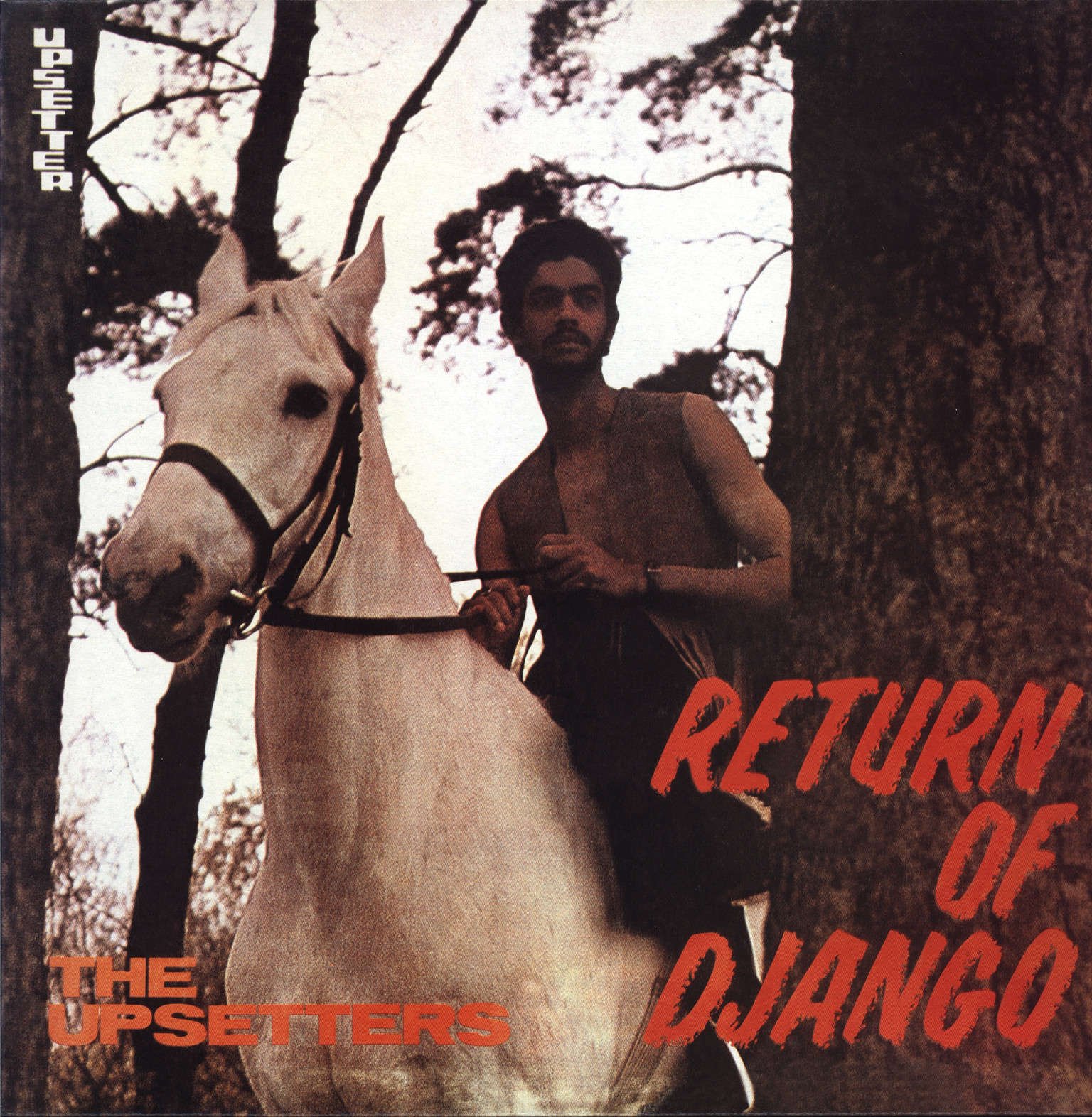 Return of Django