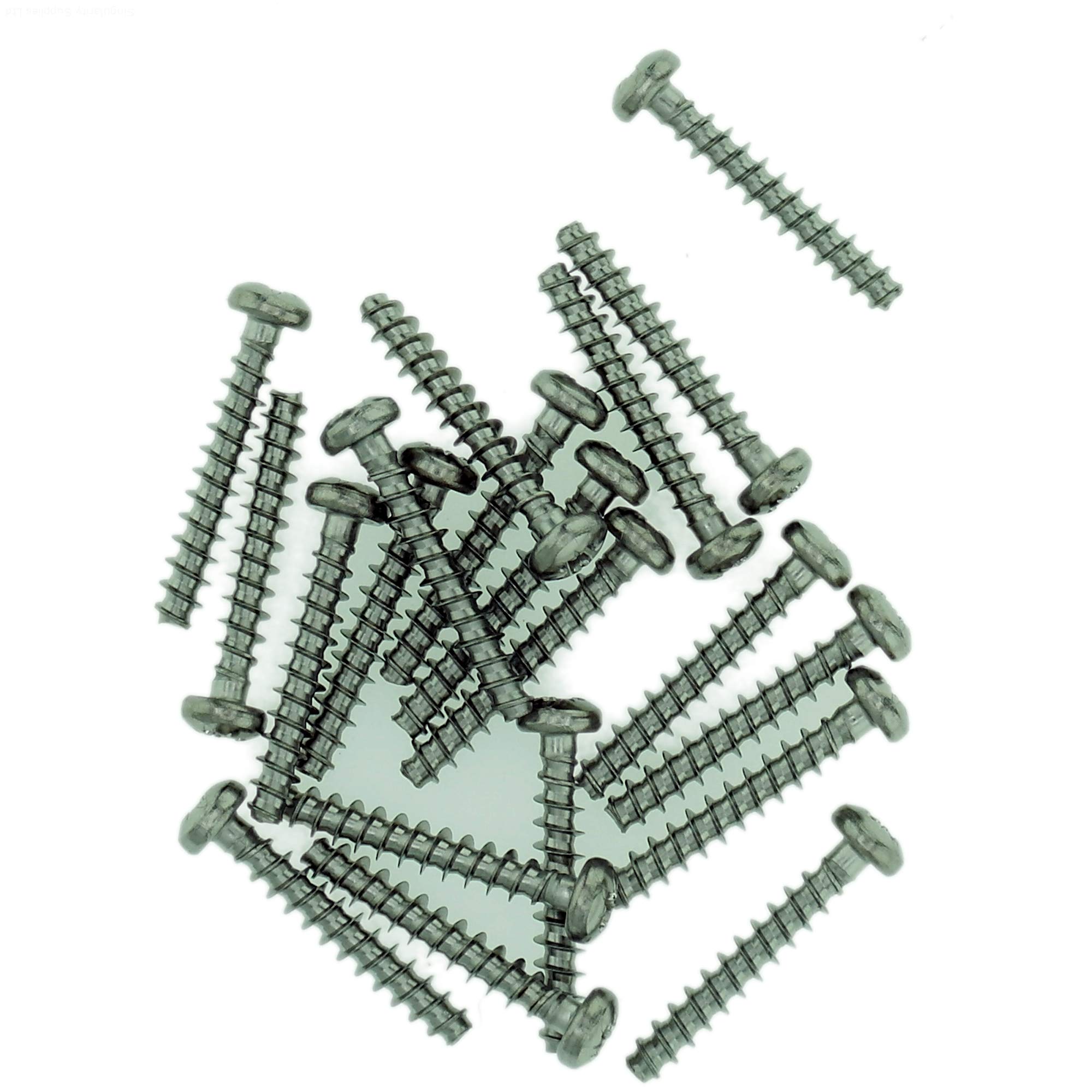 Singularity Supplies D2.5 (2.5Mm X 8Mm) Pozi Pan Screws For Plastic - Stainless Steel (A2) (Pack Of 20)