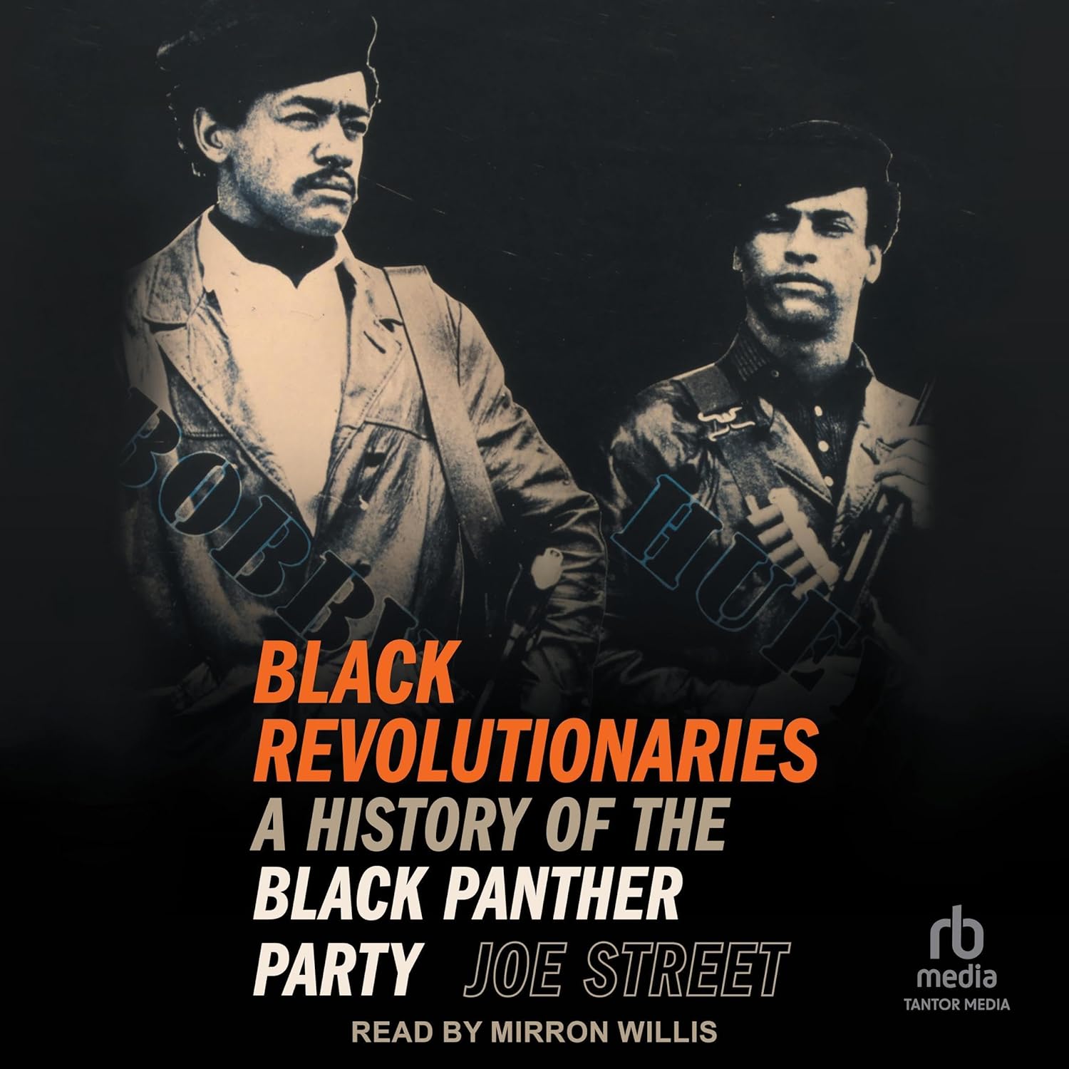Black Revolutionaries: A History of the Black Panther Party    
	                
	            

                 
                        Audible Audiobook 
                  
                        – Unabridged