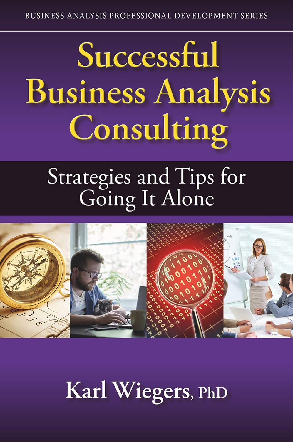 Successful Business Analysis Consulting: Strategies and Tips for Going It Alone (Business Analysis Professional Developme)