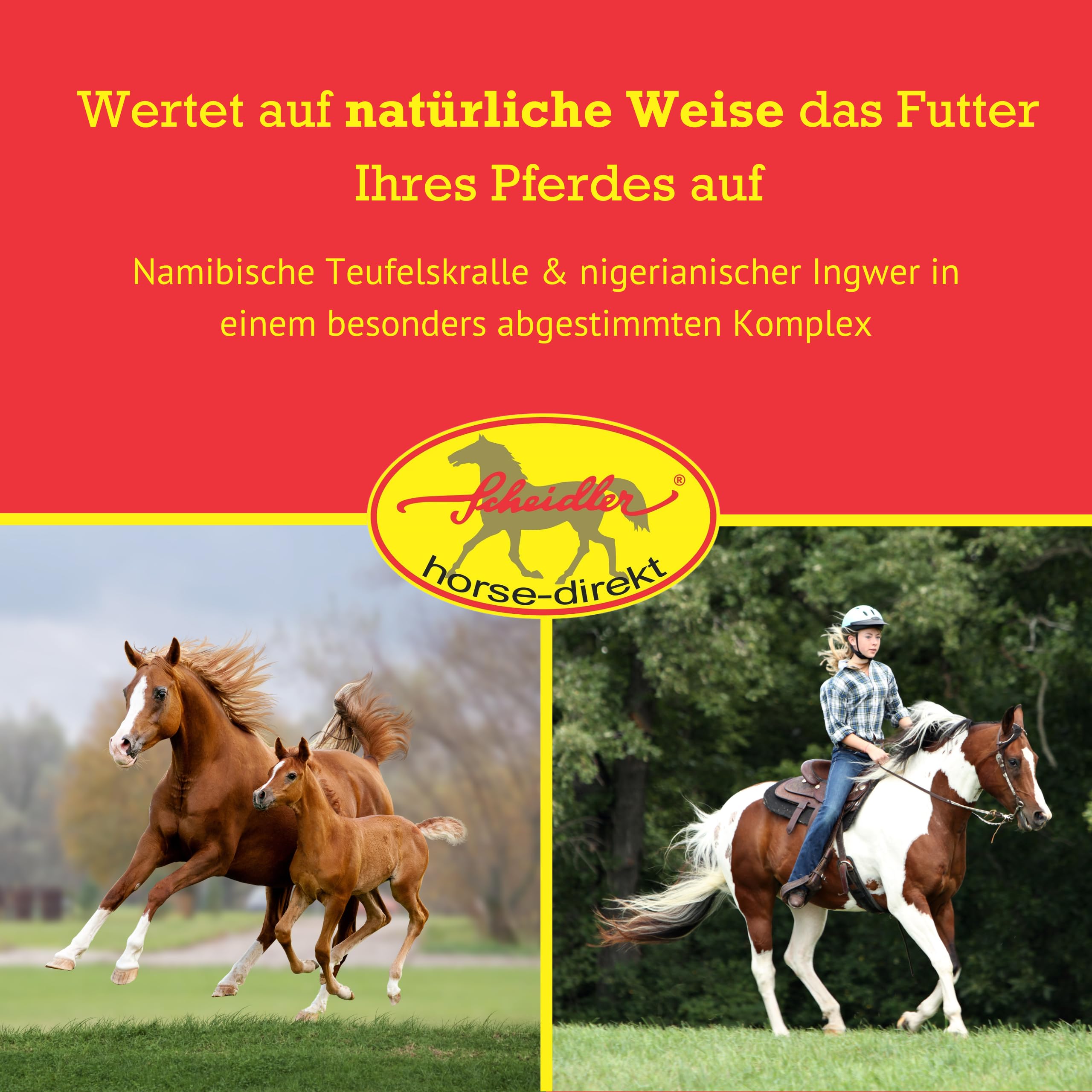 Scheidler horse-direkt Ingwer-Teufelskralle Liquid für Pferde 2500ml – Natürliches Ergänzungsfutter – Alternative zu Pulver/Pellets – Premium Sud aus Teufelskralle- Qualität aus Deutschland