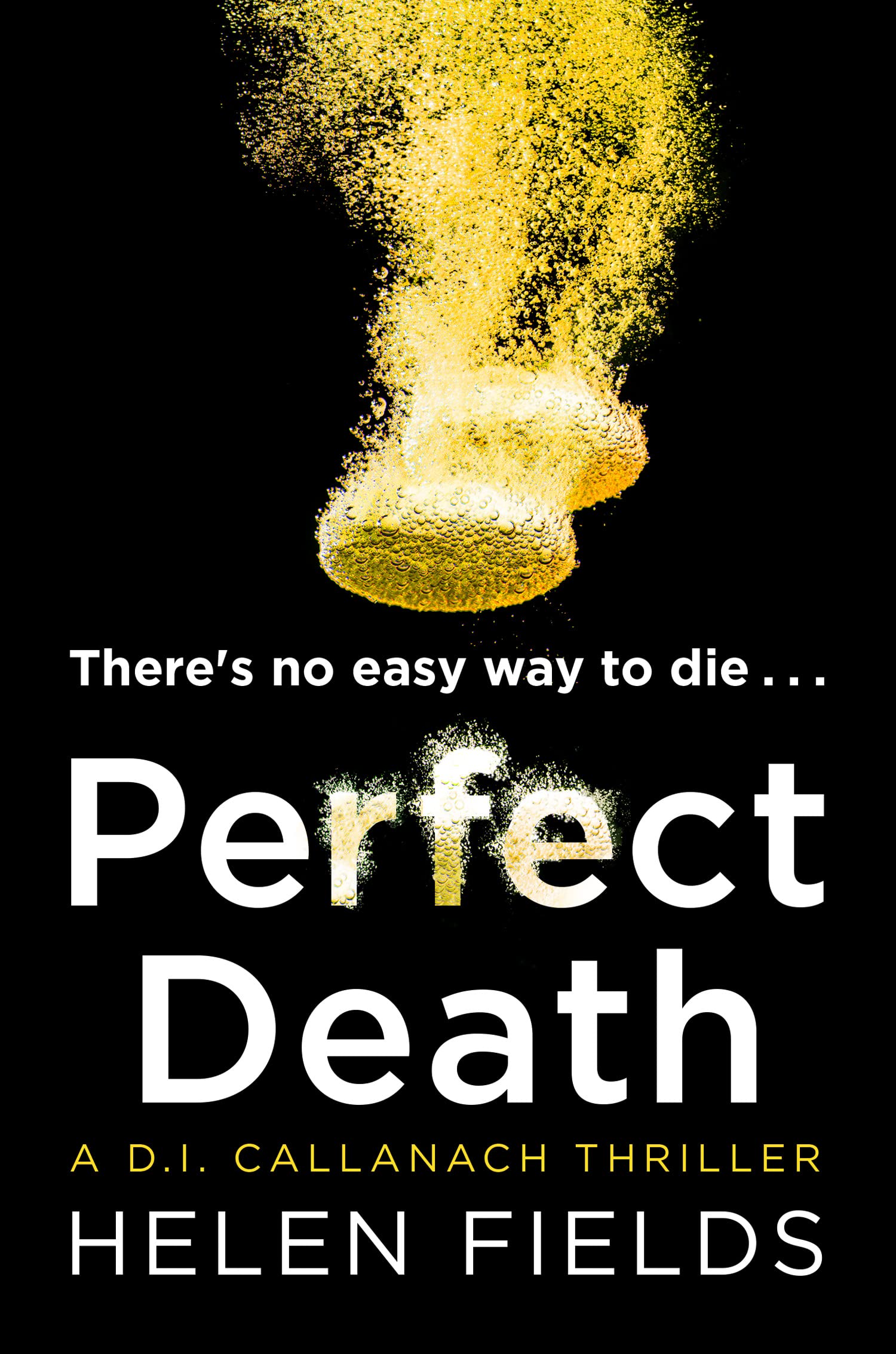 Perfect Death Paperback – Big Book, 25 January 2018