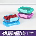Sistema Lunch Collection Food Storage Containers, Assorted Colours, 3 Pack