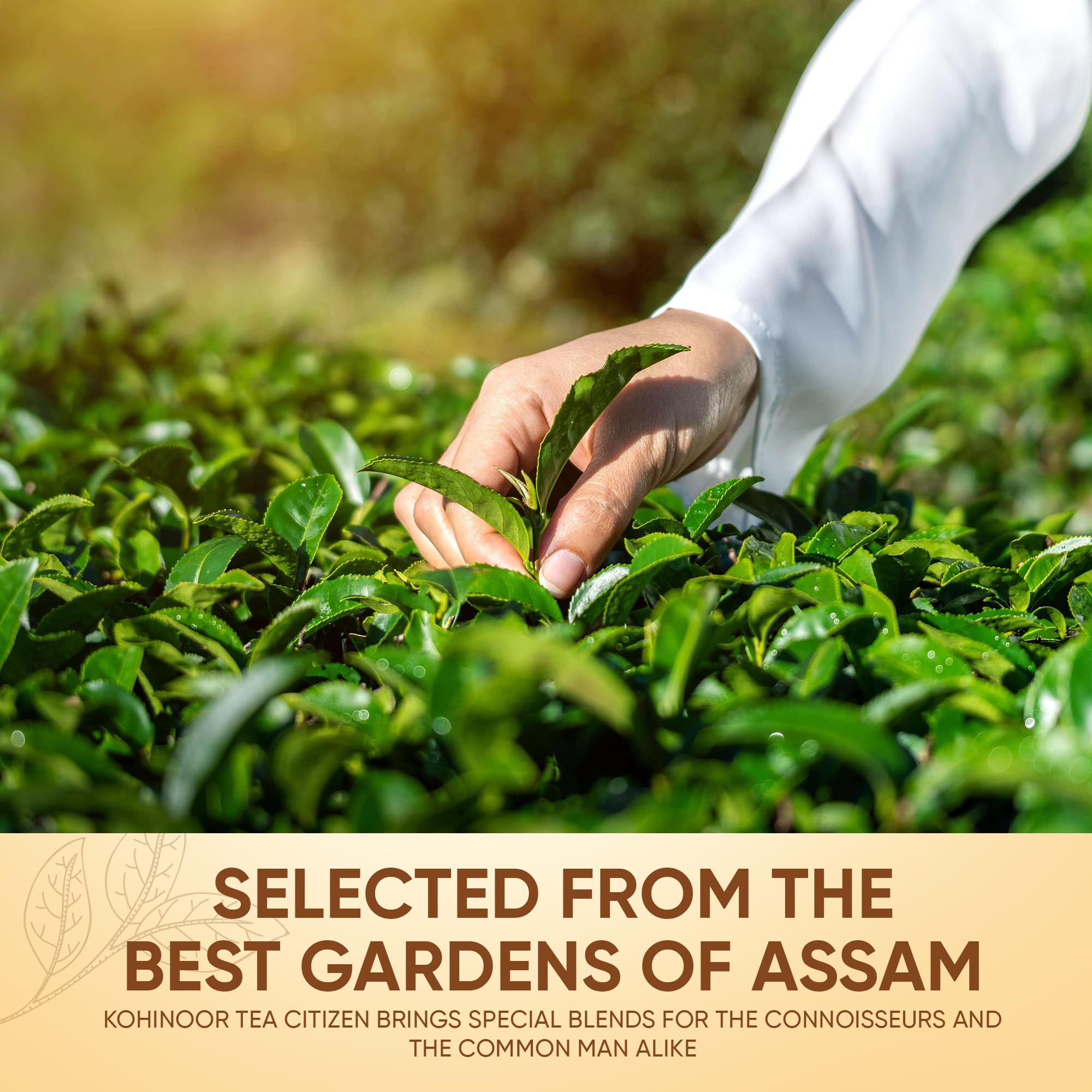 Bayar's Kohinoor Tea Citizen, Premium Assam Blend, 500g 3