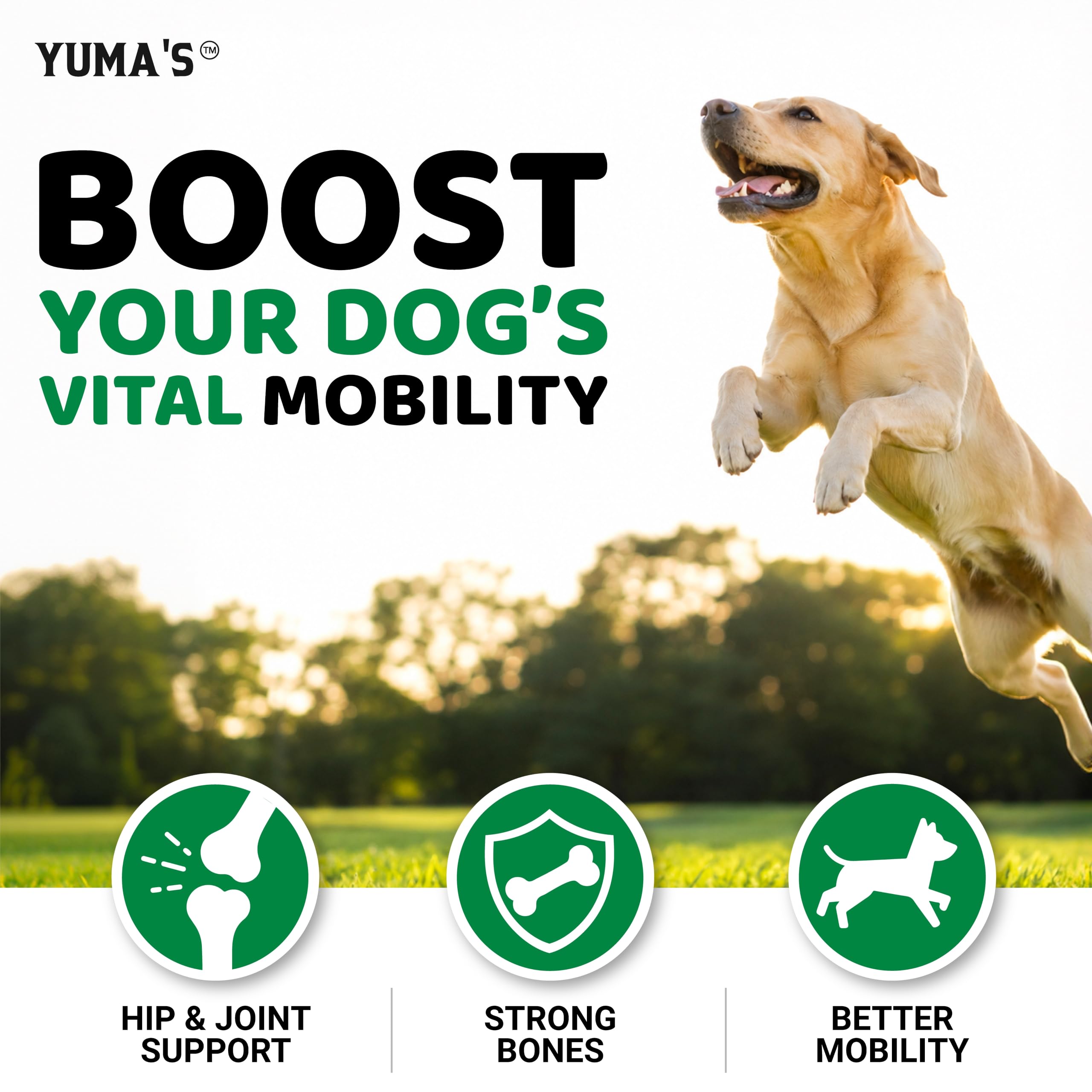 YUMA'S Glucosamine pour chiens - Supplément de hanche et articulation pour chiens - 170 CT - Glucosamine chondroïtine pour chiens à mâcher - Soulagement des douleurs articulaires pour chiens avec
