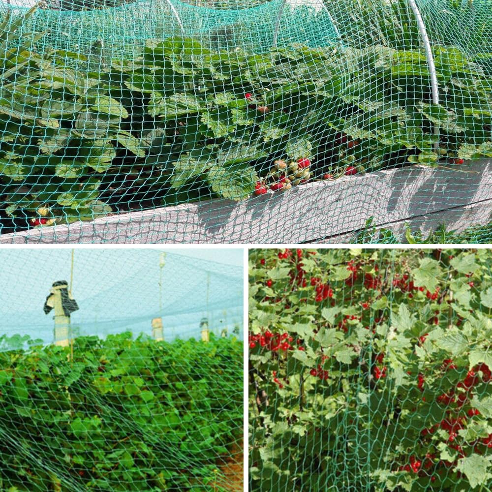 50 sacchetti in rete anti-insetti, rete da giardino in nylon, sacchetto