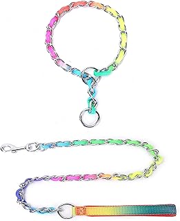 personalized dog collars prong