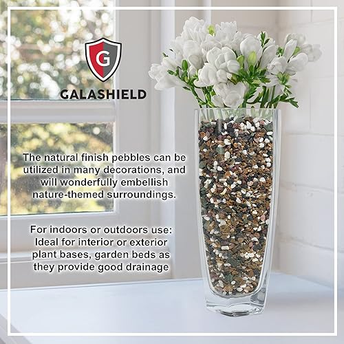 Miniatura 29 de Mezcla de bonsái de 2 libras, mezcla para macetas suculentas, rocas de lava, cactus, suelo, enmienda Onxy blanco
