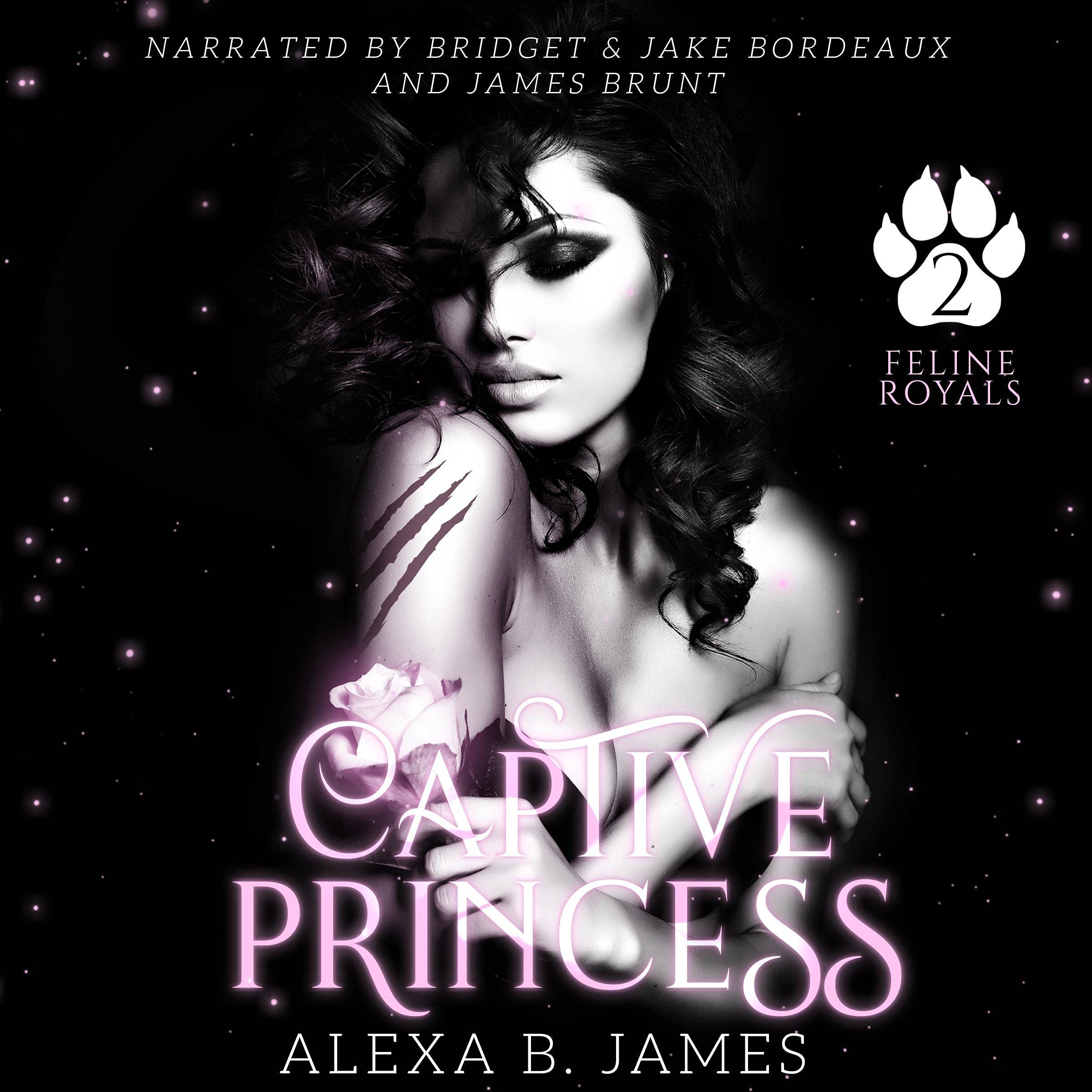 Cover art for Captive Princess