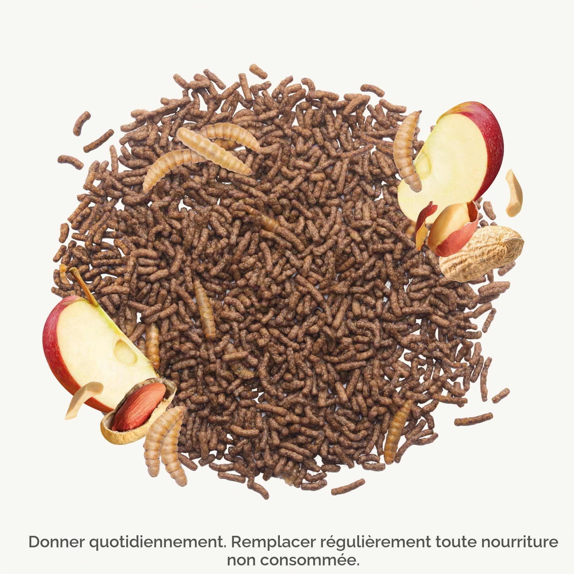 BEAPHAR – Aliment pour Hérissons – Haute teneur en protéines – Riche en vitamines et minéraux – Aux Insectes (Mouche Soldat Noire) – Pas de vers de Farine – Répond aux Besoins des hérissons – 1 kg
