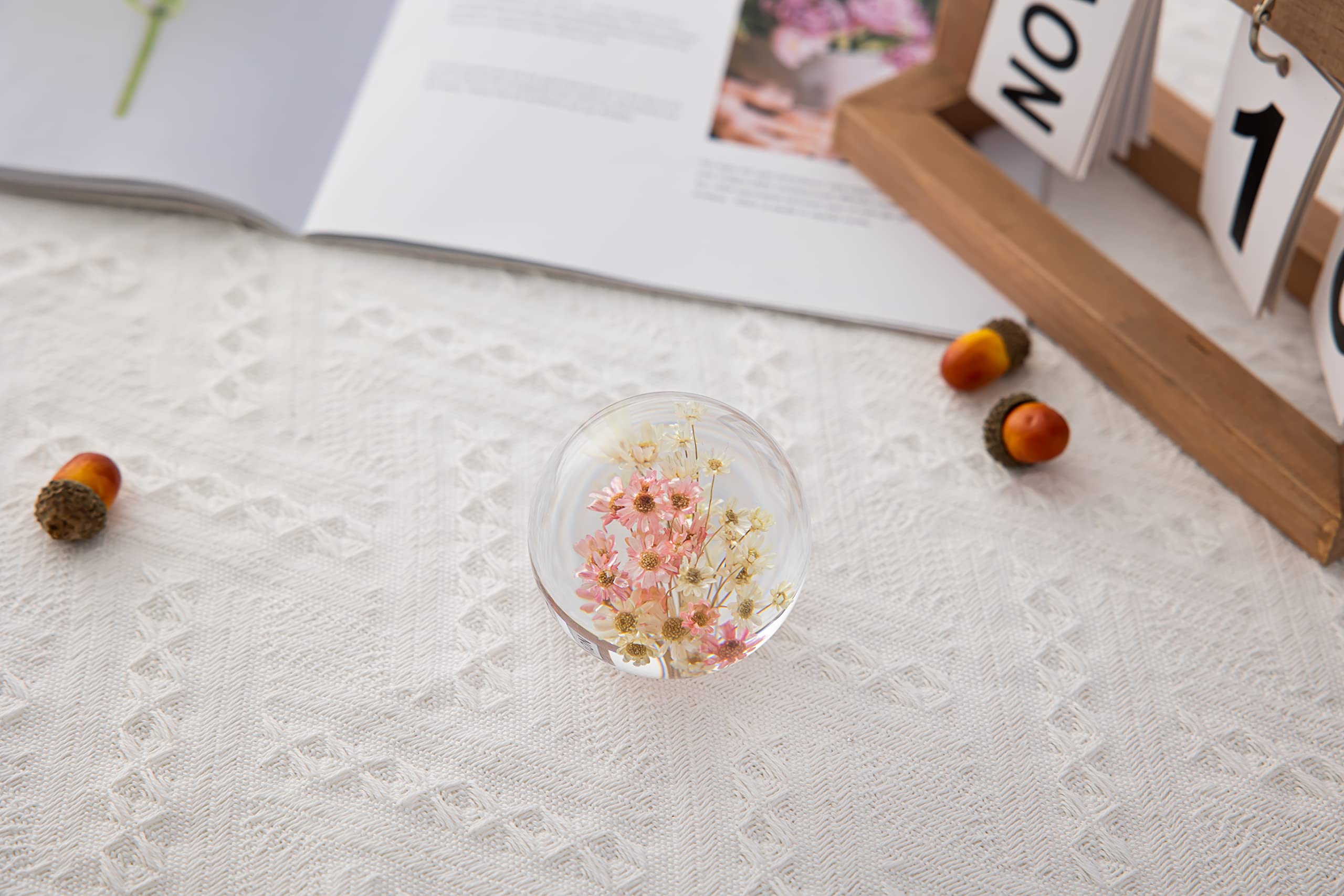 Echter Nelkenblumen-Briefbeschwerer - Einzigartiges Naturkunstwerk Im Kristallkugel-Design